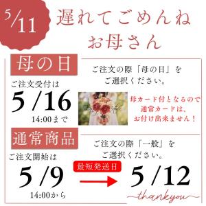 母の日 遅れてごめんね ギフト アメリア&ポワ...の詳細画像1