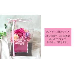 母の日 遅れてごめんね ギフト アメリア&ポワ...の詳細画像5