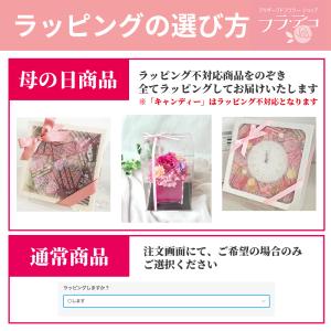 母の日 遅れてごめんね ギフト アメリア&ポワ...の詳細画像2