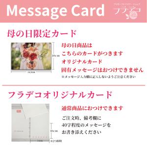 母の日 遅れてごめんね ギフト アメリア&ポワ...の詳細画像3
