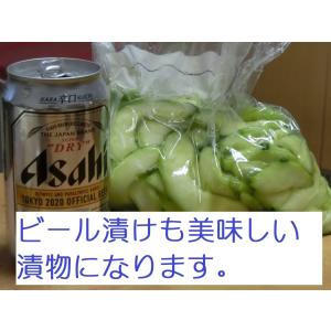 摘果メロン5kg【北海道 農家直送】の詳細画像3