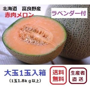 富良野産 赤肉メロン 大玉1玉 ラベンダー付き　【お中元　ご贈答に最適！】