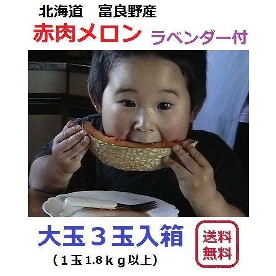富良野産 赤肉メロン 大玉3玉 ラベンダー付き　【お中元　ご贈答に最適！】