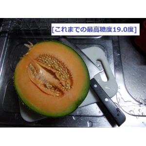 富良野産 赤肉メロン 大玉3玉 ラベンダー付き...の詳細画像3