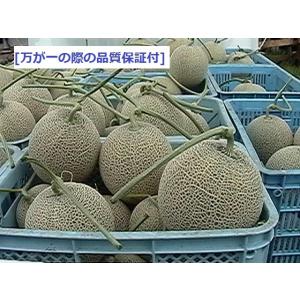 富良野産 赤肉メロン 大玉3玉 ラベンダー付き...の詳細画像4