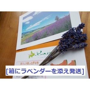 富良野産 赤肉メロン 大玉3玉 ラベンダー付き...の詳細画像5