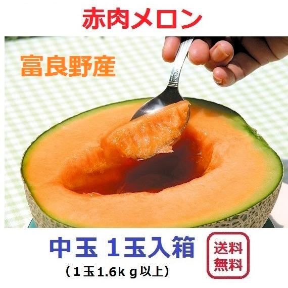 富良野産 赤肉メロン 中玉1玉 　【お中元　ご贈答に最適！】