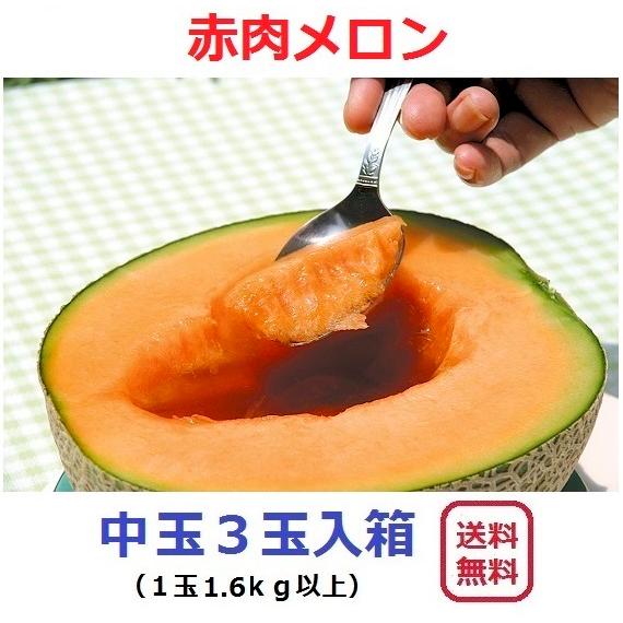 富良野産 赤肉メロン 中玉３玉 【お中元　ご贈答に最適！】