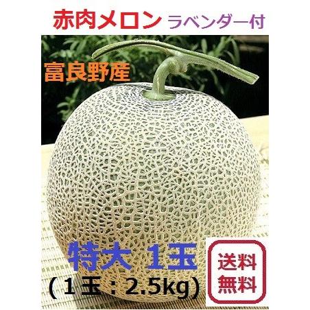 富良野産 赤肉メロン 特大１玉  （2.5ｋｇ以上/玉）　ラベンダー付　【お中元　ご贈答に最適！】