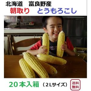 富良野産 とうもろこし 20本入箱 【北海道 農...の商品画像