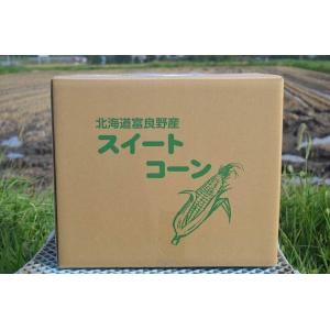 富良野産 とうもろこし 10本入箱 【北海道 ...の詳細画像1