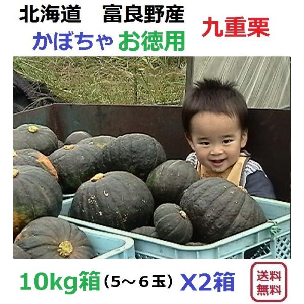 富良野産 カボチャ 九重栗/1０ｋｇ箱X2箱 【お得用】