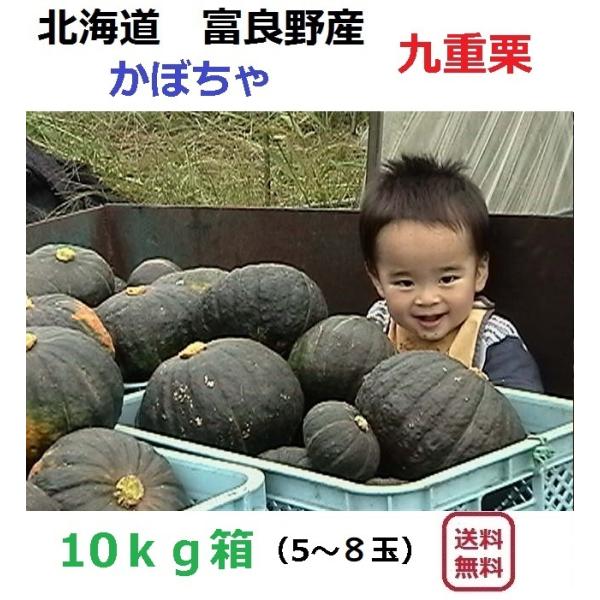 富良野産 カボチャ 九重栗　1０ｋｇ箱(4〜8玉入）