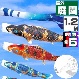 爆買 こいのぼり 鯉のぼり おしゃれ にわテ゛コ...の商品画像