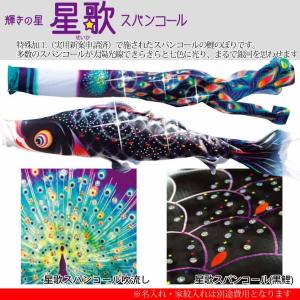 爆買 こいのぼり 鯉のぼり おしゃれ にわテ゛...の詳細画像1