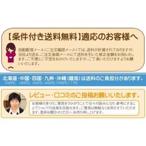 爆買 ツインリッチ バスタオル 選べる8色 サ...の詳細画像2