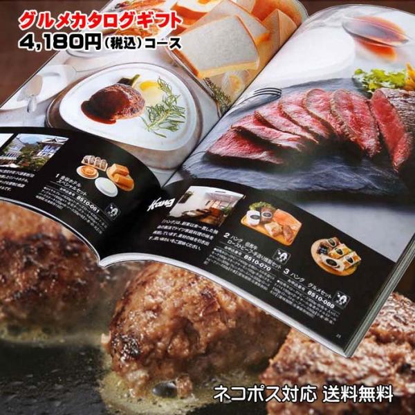 爆買 グルメ専門 カタログギフト 4,290円(税込)CO 母の日 父の日 敬老の日 お中元 お歳暮...