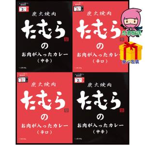 炭火焼肉たむらのカレーセット