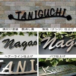 数量限定 特売 表札 ステンレスアイアン表札 クローバーデザイン付き Isti300 4 表札看板 通販 ふれあいガラス工房 通販 Yahoo ショッピング Kalahariholdings Com