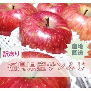 【ご自宅用】福島県産りんご「サンふじ」約５kg 16〜20玉 産地直送―11月下旬頃から発送予定