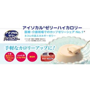 E1723-468236 ネスレ アイソカルゼ...の詳細画像2