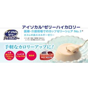 E1723-468235 ネスレ アイソカルゼ...の詳細画像2
