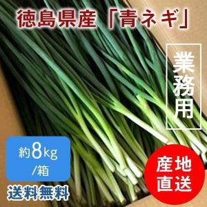 青ネギ 徳島県産 8kg 産地直送 業務用