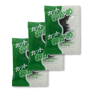 FDねぎ 業務用 小袋 0.2g×1000食入 フリーズドライ 乾燥ねぎ ラーメン