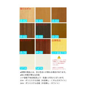 オーダー建具 室内対応 楕円窓W だえん (d...の詳細画像2