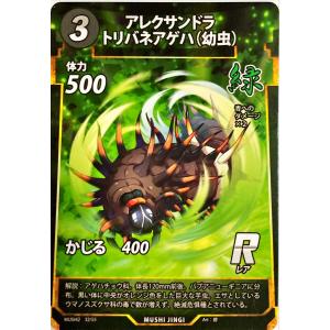 オオムラサキ（幼虫） 蟲神器】オオムラサキ（幼虫）(N)の詳細【昆虫カード図鑑】