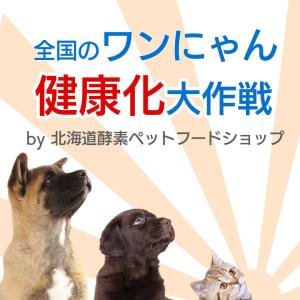 大高酵素 フリカケワン 100g バラ売り 犬...の詳細画像2