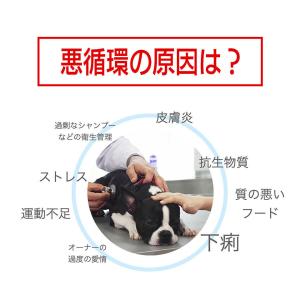 大高酵素 フリカケワン 100g バラ売り 犬...の詳細画像4