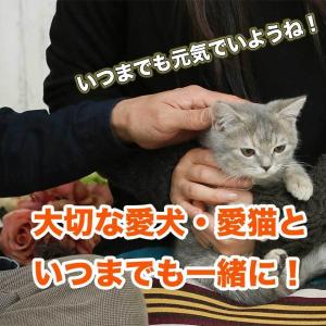 大高酵素 フリカケワン 100g バラ売り 犬...の詳細画像5