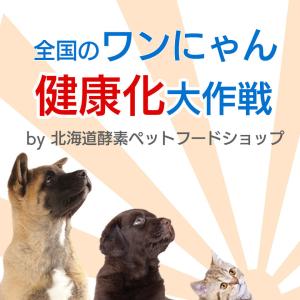 犬用 酵素 【初回限定・送料無料】国産サプリメ...の詳細画像2
