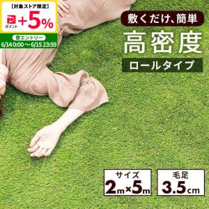 MINT 人工芝 ロール 1m×10m 芝丈 35mm リアル 芝生マット ロールタイプ