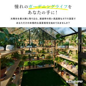 ガラス温室 サンルーム Sサイズ 大型物置 屋...の詳細画像2