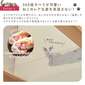 キャットタワーベッド キャットタワー 一体型 ...の詳細画像4