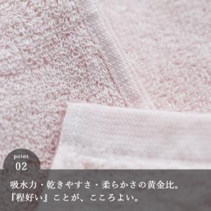 【メール便】フェイスタオル「メール・リッチパイ...の詳細画像4