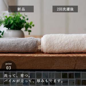 【メール便】フェイスタオル「メール・リッチパイ...の詳細画像5