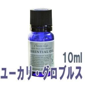 フレーバーライフ(エッセンシャルオイル/アロマオイル/精油)ユーカリ・グロブルス(１０ｍｌ)【エッセンス リラックス リフレッシュ 高品質 フレグランス】｜furo