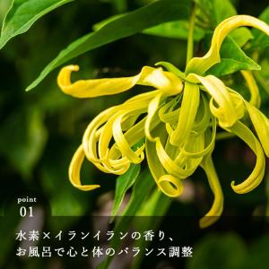 【メール便】入浴剤「ゾウのあなたの入浴剤」お風...の詳細画像1