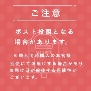 日本製 ステンレスミラー止め具の詳細画像3