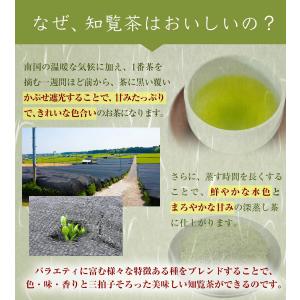 選べる5本 知覧茶 品種巡り 福袋 [ ちらん...の詳細画像3