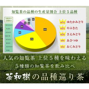 選べる5本 知覧茶 品種巡り 福袋 [ ちらん...の詳細画像5