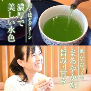 [ お茶 知覧茶 ] プレミアム あさつゆ 特...の詳細画像5