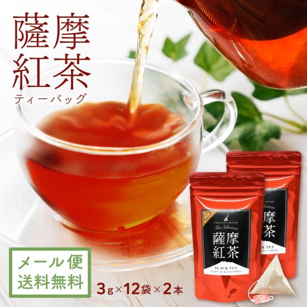 [ 紅茶 ギフト ] ティーバッグ 薩摩紅茶 3g×12袋×2本セット [ お歳暮 父の日 プレゼン...