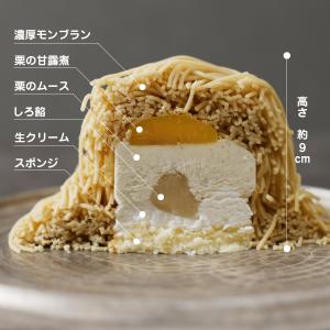 送料無料 冷凍 笠間栗のモンブラン2個入 栗 ...の詳細画像1