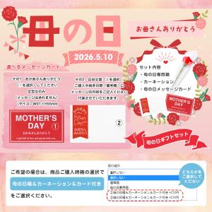 送料無料 冷凍 笠間栗のモンブラン2個入 栗 ...の詳細画像2
