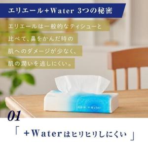 ふるさと納税 ティッシュ エリエール +Wat...の詳細画像1