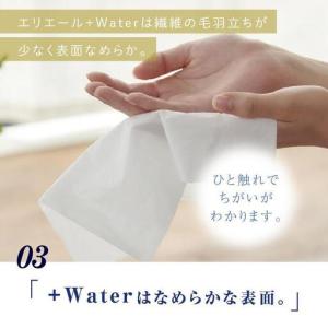 ふるさと納税 ティッシュ エリエール +Wat...の詳細画像3